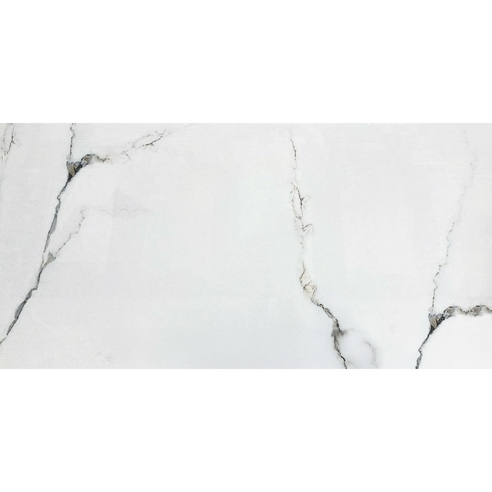 Placi de porțelan "Artique" lustruit 60x120cm