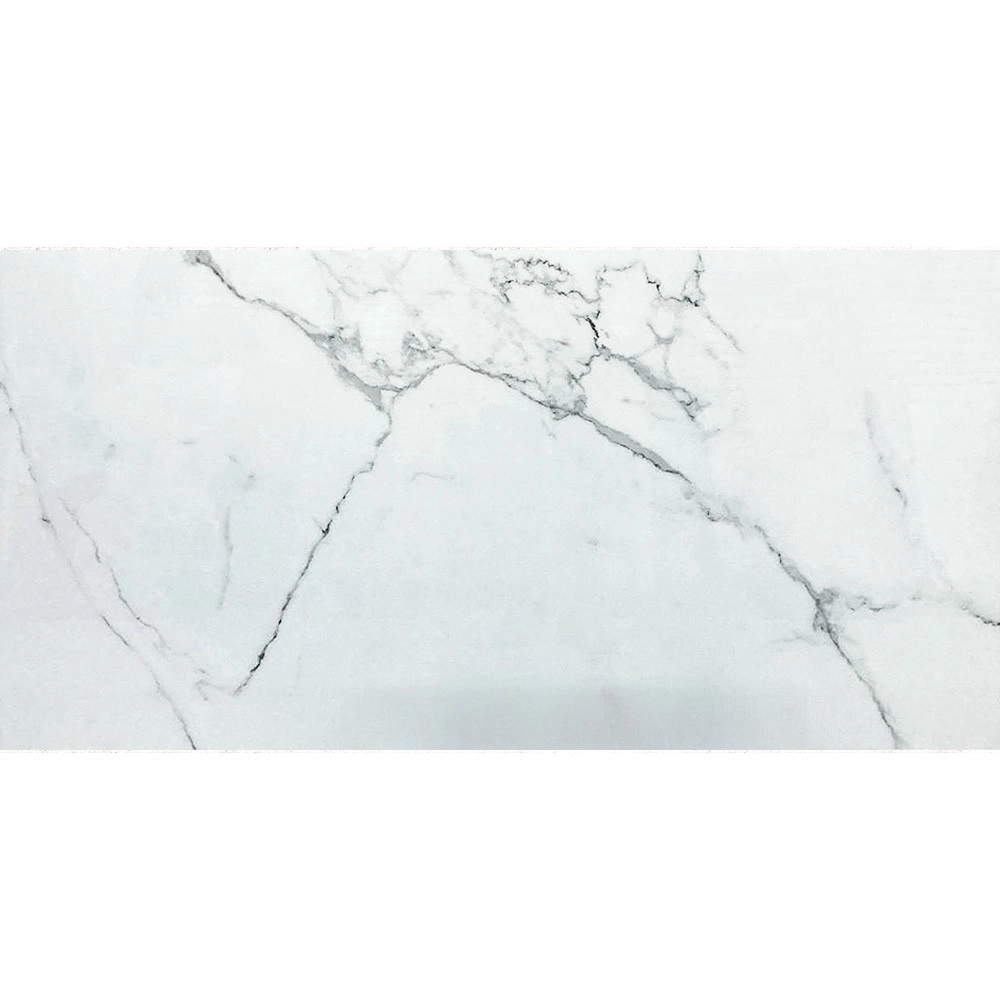 Plăci de porțelan "Artuario" gri lustruit 60x120cm