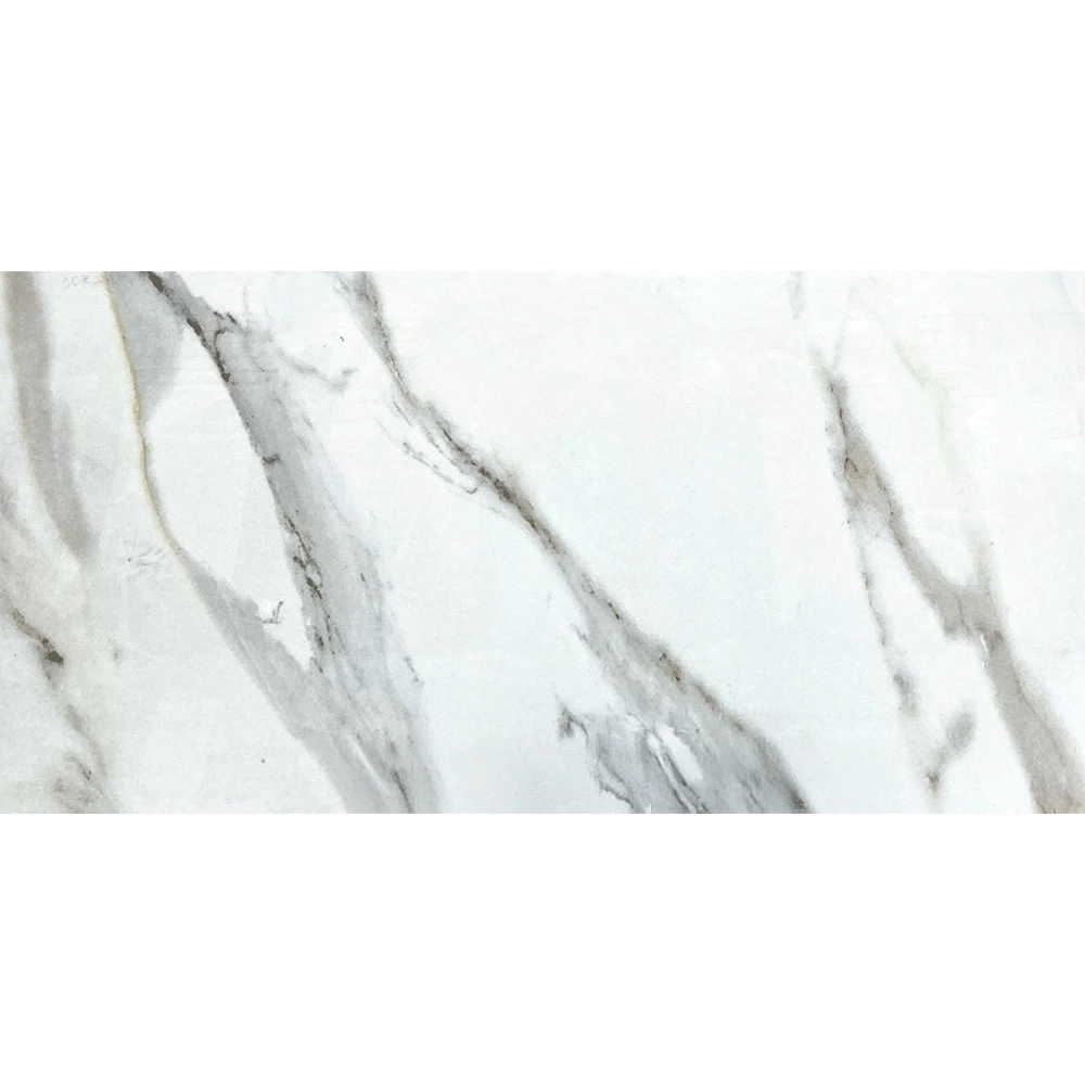 Placi de porțelan "Gaios" lustruit 60x120cm