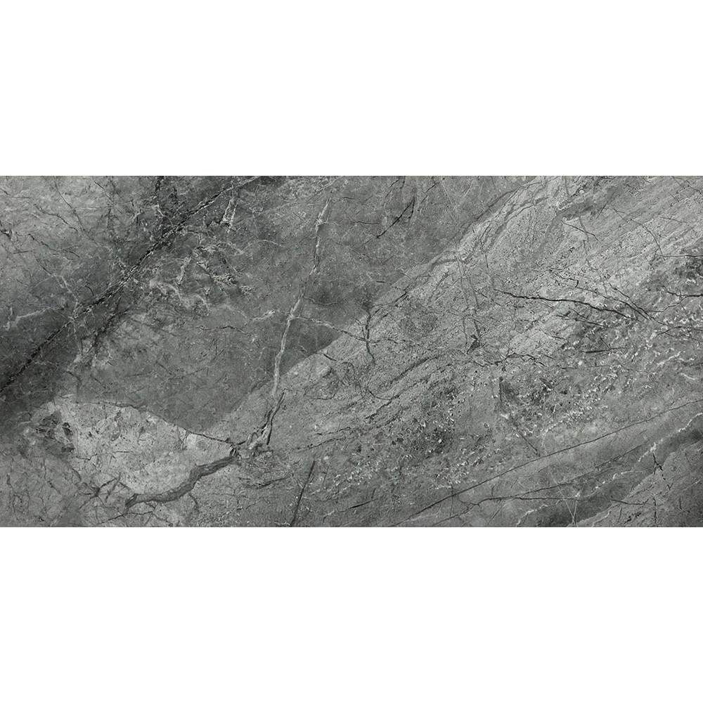 Plăci de porțelan "Rainfors" gri mat 60x120cm