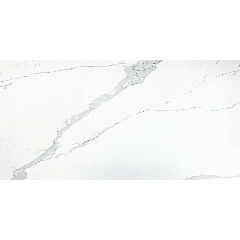 Placi de porțelan "Statuario" lustruit 60x120cm