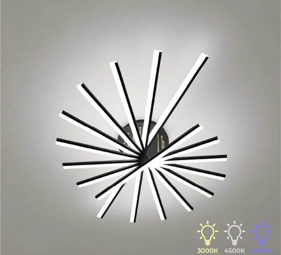 ПЛ-17_9Л_1_1789832830.png